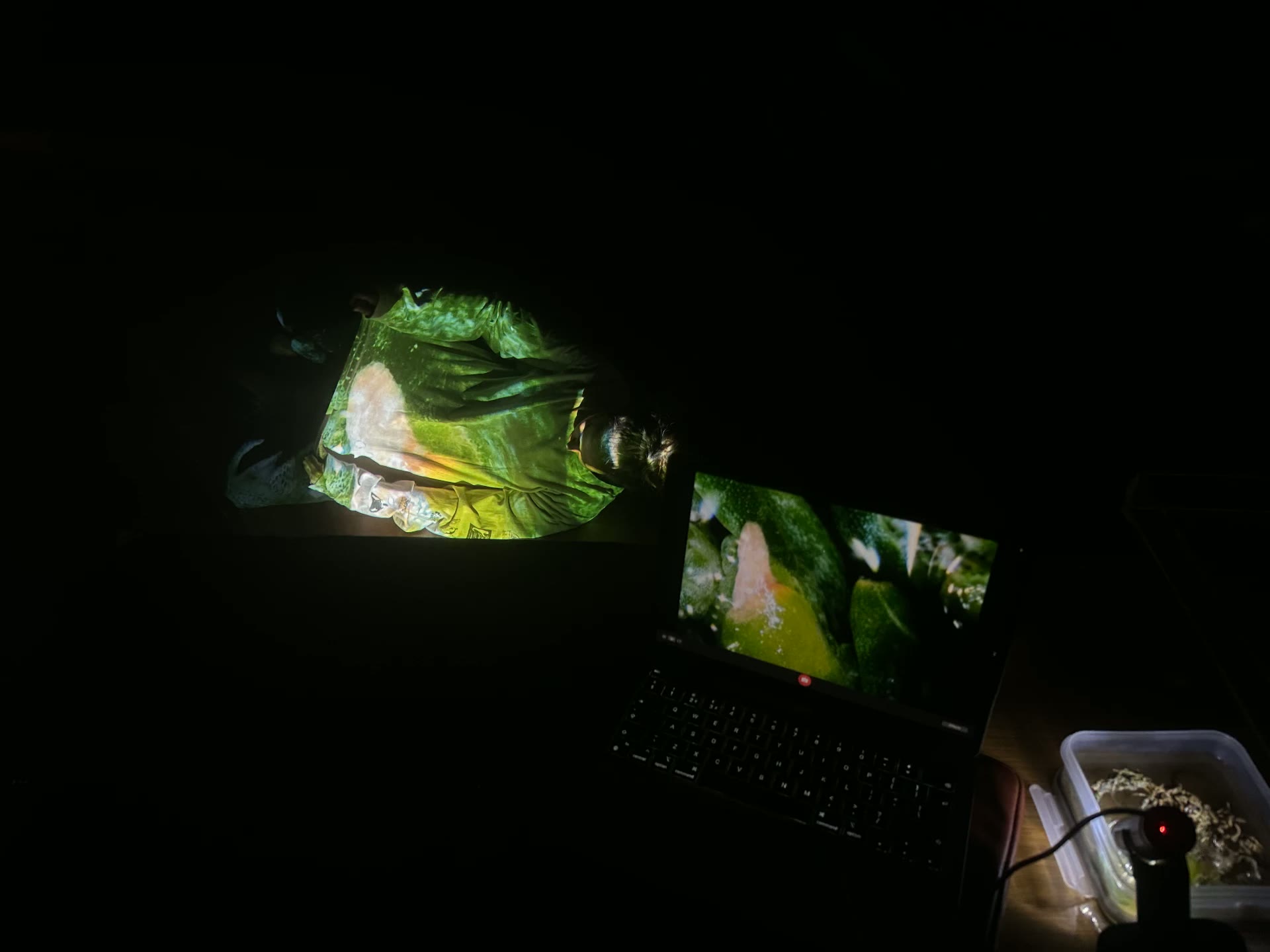 Dark studio with a laptop, a small water tray and the magnified green image projected onto a body and the wall behind